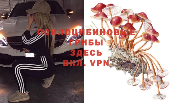 эйфоретик Алексин