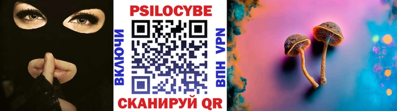 Псилоцибиновые грибы прущие грибы  blacksprut онион  Ачхой-Мартан  купить наркотик 